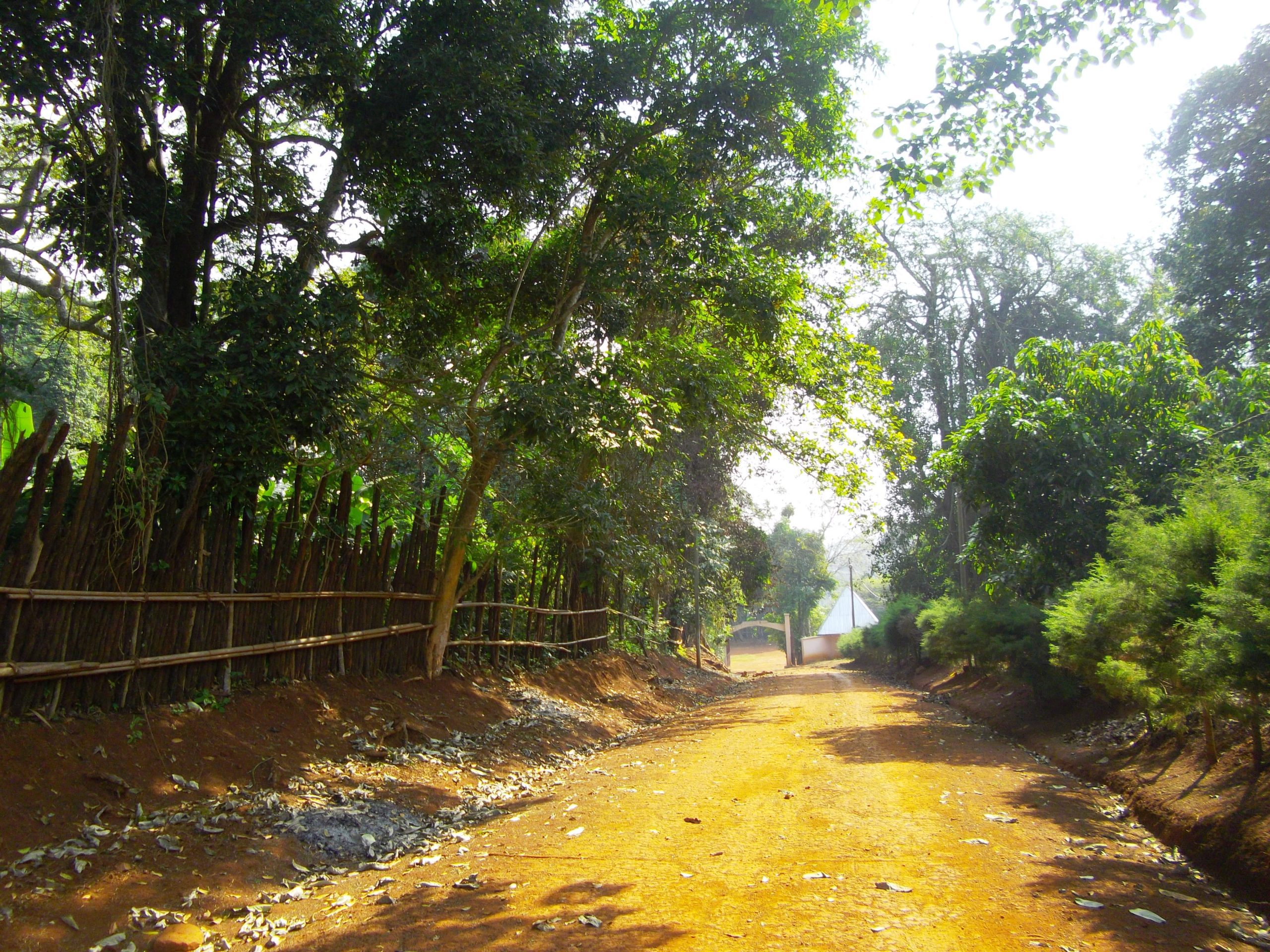 2. Bocage. Bafoussam, 21.12.2012, par HTN