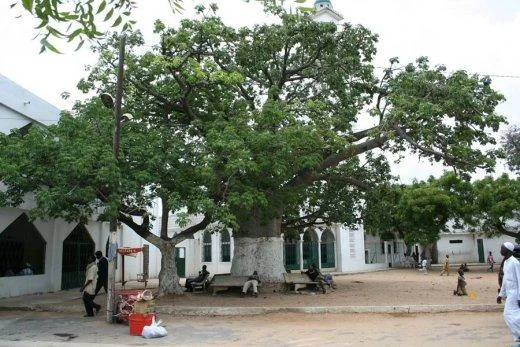 Pènc lebou de Dakar