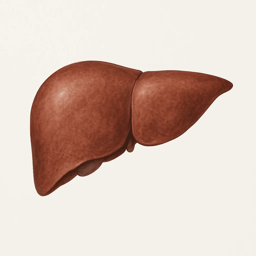 Er