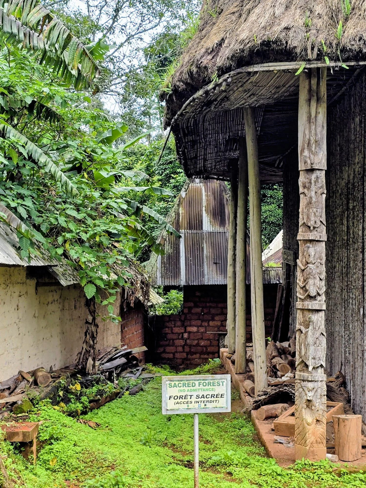 Sacred forest of Bapa chiefdom