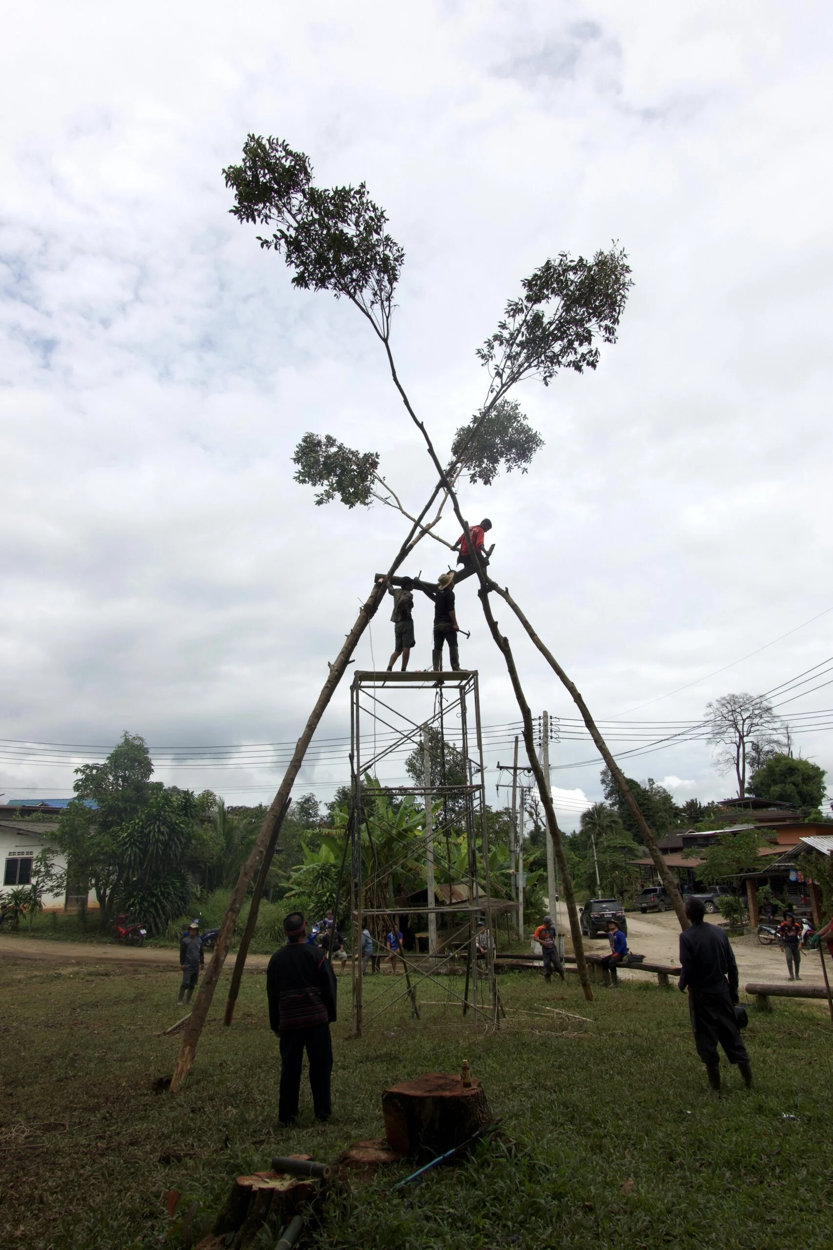 Three tall but thin trees are pulled together, overlapping towards the top to form a triangular-based pyramid. Two men stand on top of a rectangular scaffold in the middle, working to strap the tree tops together. A group of men stand around the base observing the action.