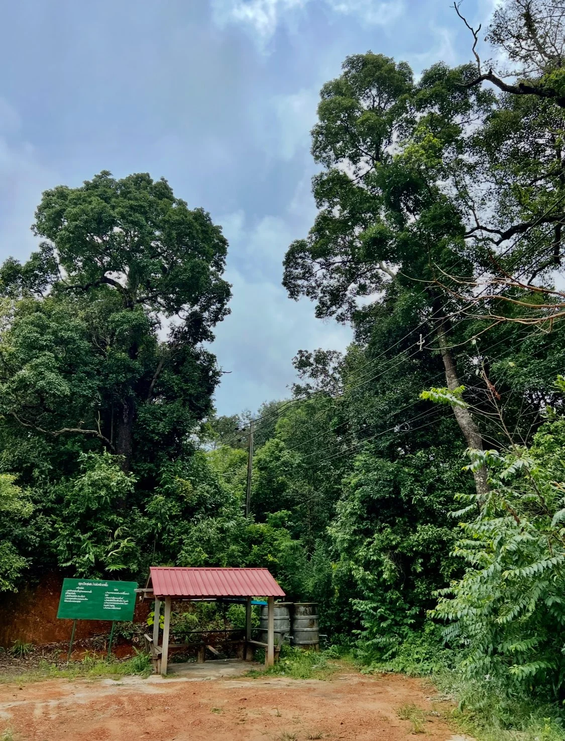 A small hut structure with a red roof surrounded by large leafy green trees.