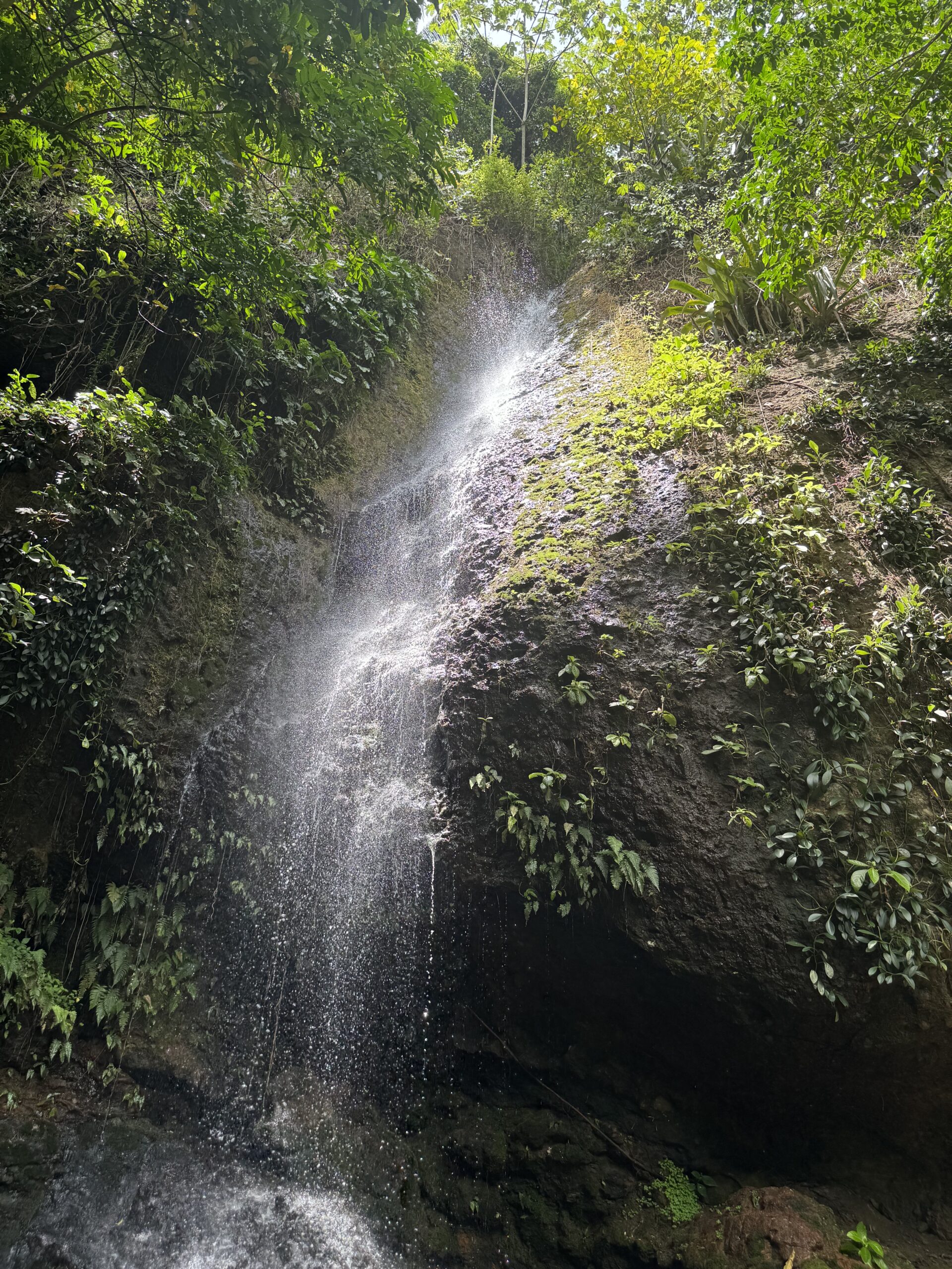 Waterfall Shrine for Oxumaré